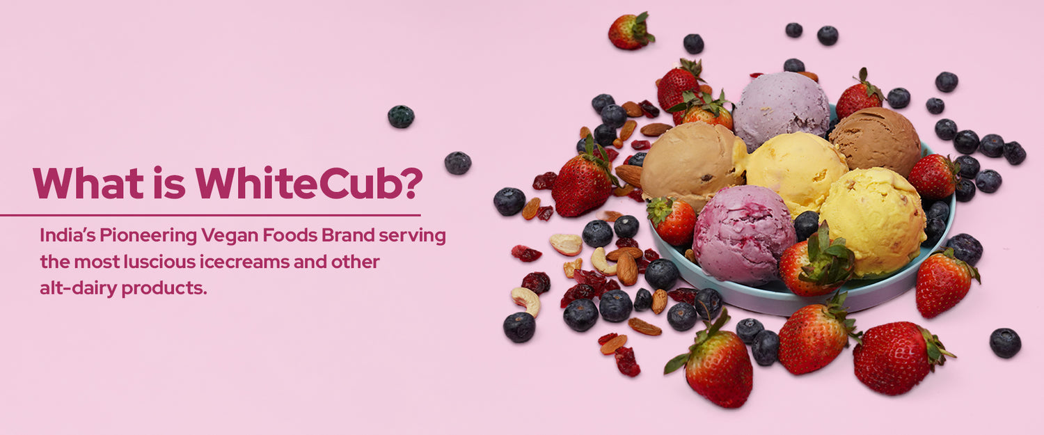 vegan ice cream brands in india